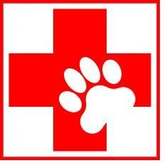 ARC Pet First Aid